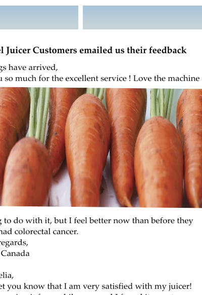 Angel juicer family of home and commercial juicers can juice vegetables herbs wheatgrass carrots and fruits extracting most vitamins minerals and essential amino acids for health